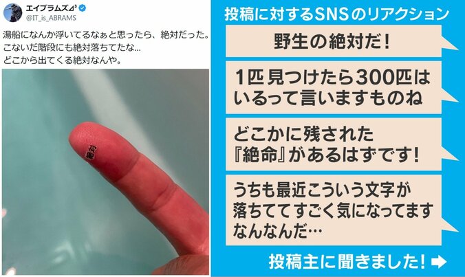 “黒い物体”の正体