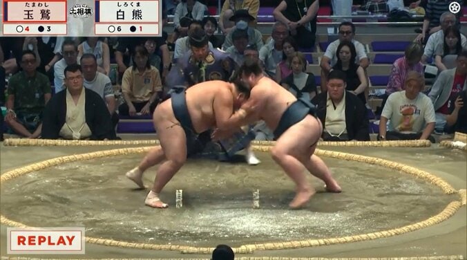 「41歳でこれやる?」玉鷲、全勝の白熊を“一撃”で戦闘不能状態に… 激しすぎる攻めに「容赦ない」「圧倒的」ファン驚嘆 2枚目