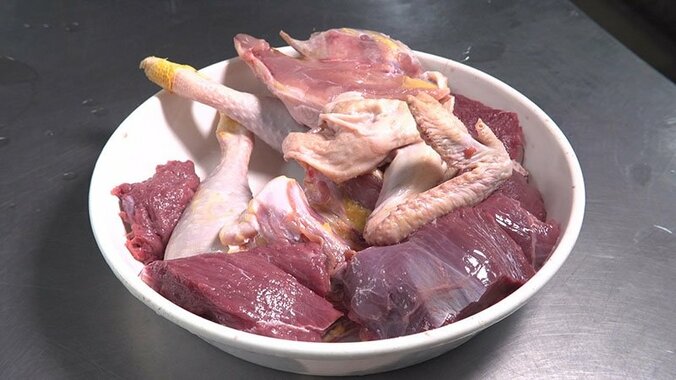 動物たちの可愛すぎる“食事タイム”に密着！ ホワイトタイガーこだわりのディナーとは？ 5枚目