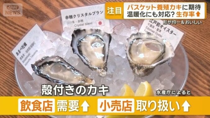 小売店でも取り扱いが増えている