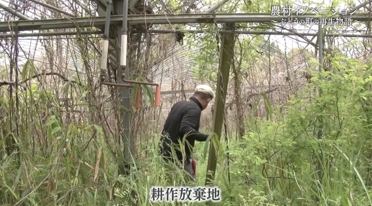 世界に名を馳せる“ぶどうの町”にするために…農家になる運命を背負った男性が、人生をかけて挑む“地域再生”