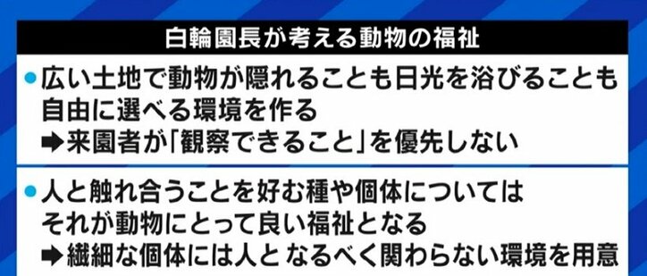 動物園で飼われるのは「かわいそう」? 札幌市で制定された“動物の福祉”条例から考える