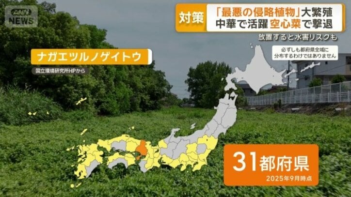 31都府県に拡大