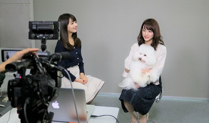 『僕とシッポ』の看板犬ダイキチに新井恵理那&福田成美もメロメロ