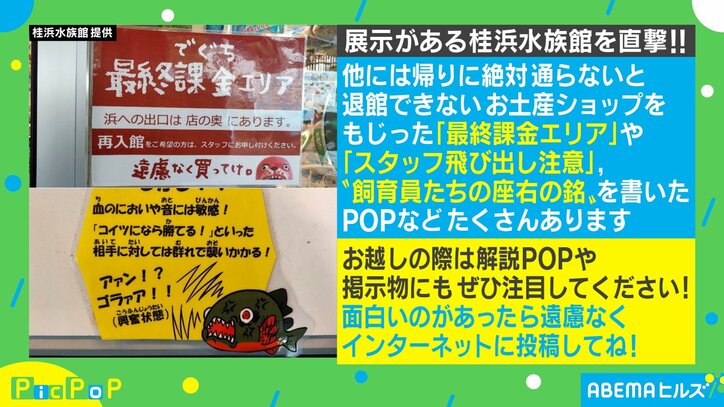 マフィアのペットでおなじみ？クセがスゴい水族館のPOPに反響