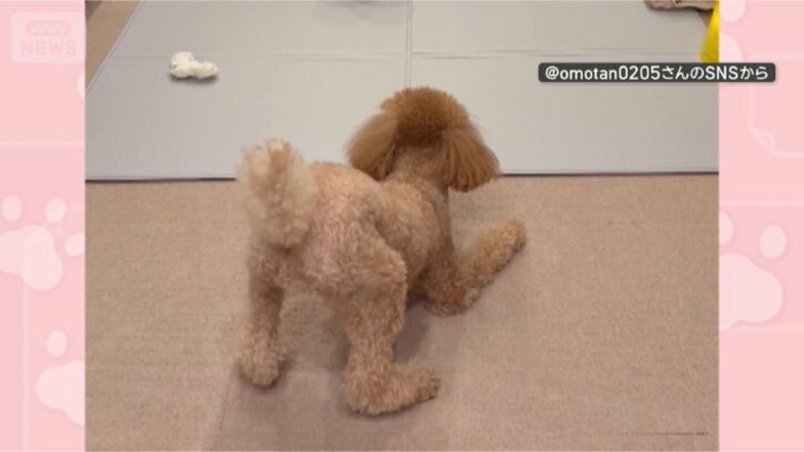 おしりを上げて前かがみ