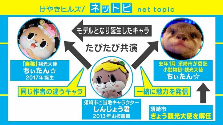 「ちぃたん☆」解任劇の真相とは？ カワウソめぐる“三角関係”を解説