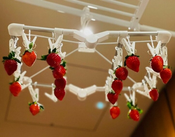 薬丸裕英、次女のために自宅でイチゴ狩り「洗濯ピンチハンガーを使って」