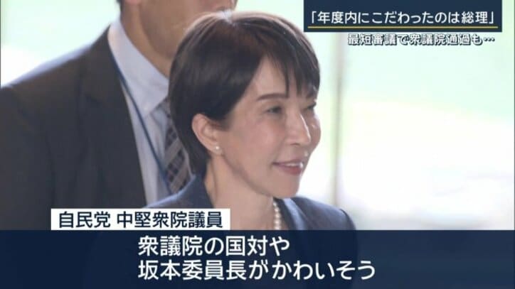 自民党 中堅衆院議員