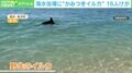 また“かみつきイルカ”にやられた! 5針縫うけが 福井県