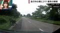 走行中の車にクマが突っ込む“恐怖の瞬間” バンパーには牙の跡が…乗車男性「生身だったらやばかった」