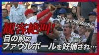 【映像】ファウルボールが“目の前” ファンの絶叫と表情