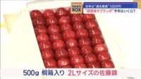 【映像】去年は“過去最高”100万円 “超促成サクランボ”今年はいくらか