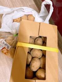 細川直美『またやってしまった！』