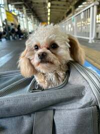 ノンスタイル井上嫁『ぐっすり寝れた〜☺︎』