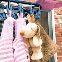 堀ちえみ『バルコニーは明日仕上がるそうです！』