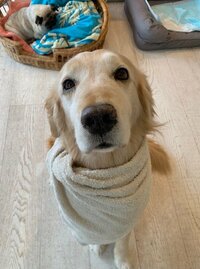 坂上忍『コウタにまで心配されるパパ』