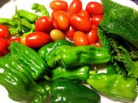 藤原紀香『愛情のチカラ』