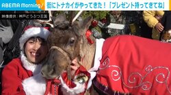 神戸どうぶつ王国にトナカイ現る！ クリスマスの装いに子どもたち歓喜「プレゼント持ってきてね！」