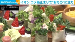 イオン コメ高止まりで“粉もの”に注力