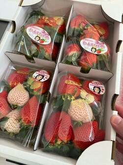  杉浦太陽、妻・辻希美が“どハマり”して再度注文した品「お世話になった農家さんの」 