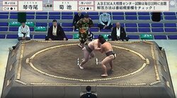 「すごいTシャツ」「こんな柄あるのか」大相撲中継、女性ファンのTシャツ絵柄に反響 後ろ姿に“ほっこり”