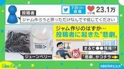 「ジャム作ろうと思っただけなんです信じてください」ベリーを潰した直後に起きた“大惨事”が話題