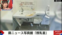 大島由香里、ゴミが散乱した授乳室に怒り「タバコとお酒で汚れているところに赤ちゃんを連れて行きたくない」