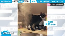 飼い主が猫に「使い方間違ってるんですけど（汗）」思わずツッコミの異常事態に爆笑 自由すぎる保護猫の振る舞いにほっこり