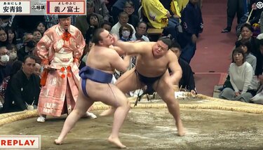 こんな安青錦の姿は… まさかの展開にファン驚愕 義ノ富士がたった4発で