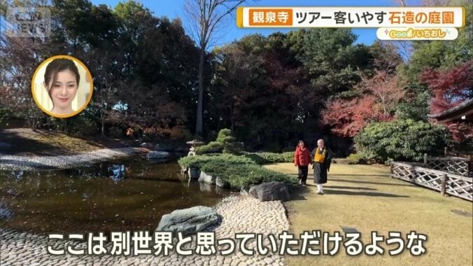 庭の中心に池を設けた「池泉鑑賞式庭園」