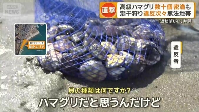 網には数十個のハマグリが…