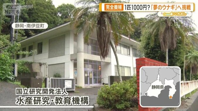 国立研究開発法人　水産研究・教育機構