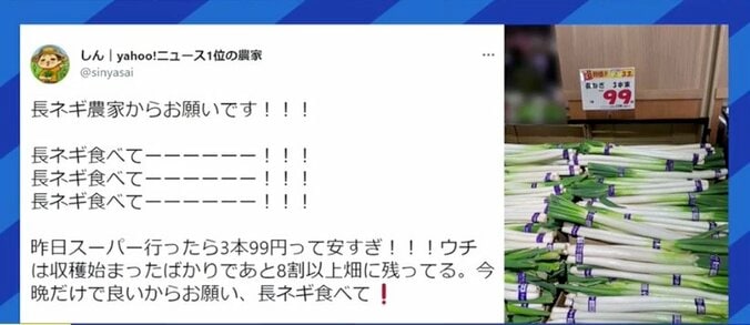 「さらに価格が下がれば廃棄せざるを得ない」コロナ禍・原油高に見舞われるネギ農家が切実な訴え 1枚目