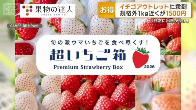 食べ比べセット