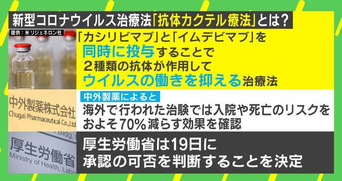 コロナ治療薬で注目「抗体カクテル療法」とは？ “2種類の抗体”で入院＆死亡リスクが約70％減少 2枚目