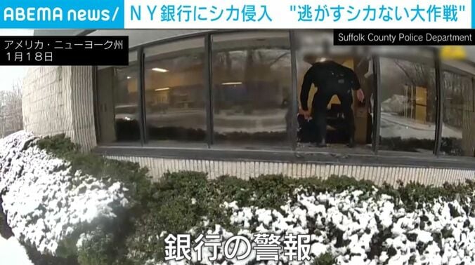 アメリカ・ニューヨーク