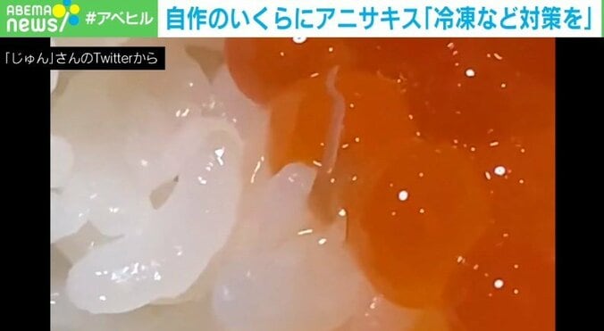 自作のいくら丼に潜むアニサキス… 増加する食中毒患者に専門家「養殖魚はリスク0に極めて近い」 1枚目