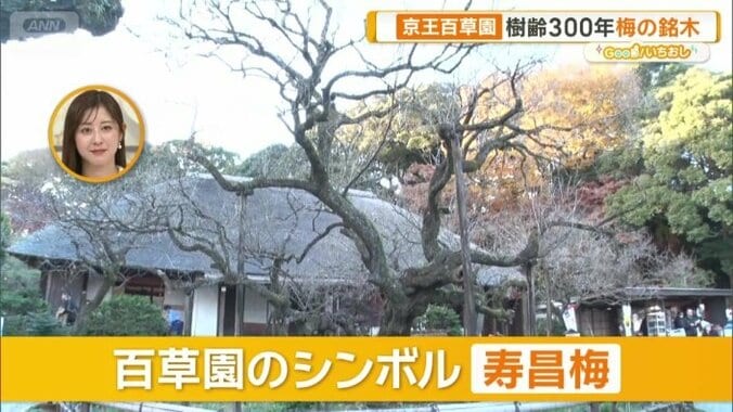 百草園のシンボル