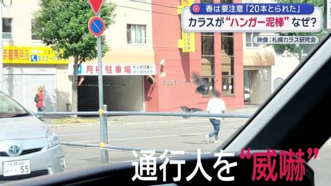 人を襲うケースも