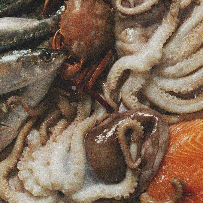 【写真・画像】　2枚目