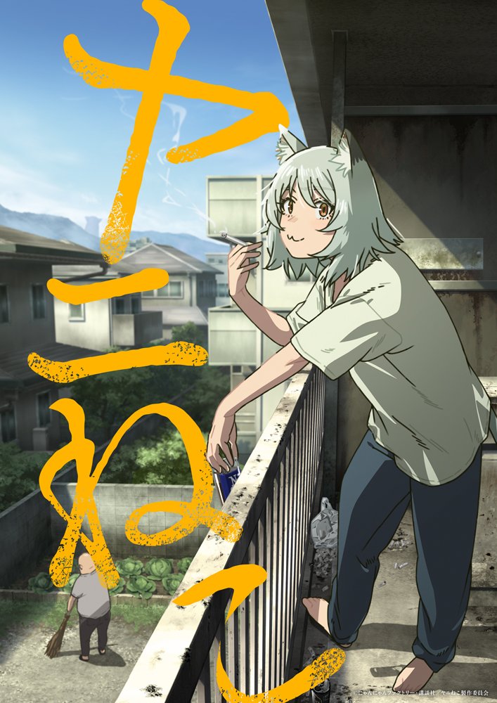 [照片/图片] "诶？可以吗？"原作者也惊讶的《尼古喵喵》动画化决定　2026年7月播出，尼古喵喵角色由夏吉優子配音 1