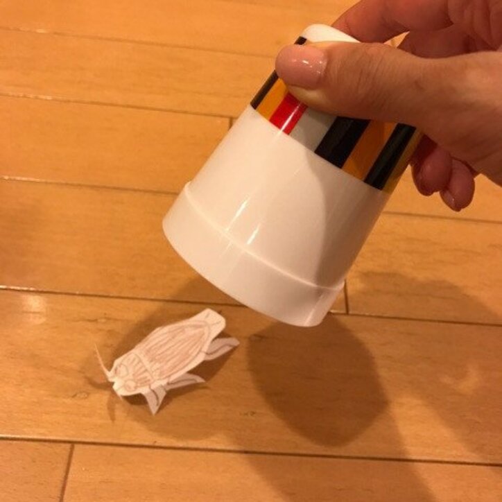 水野真紀、殺さないゴキブリ対処の方法明かす「逞しく生きるのじゃ」