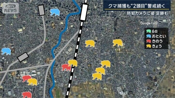 クマの目撃情報