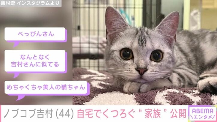 【写真・画像】新婚・平成ノブシコブシ吉村崇、自宅でくつろぐ“家族”を公開　2枚目