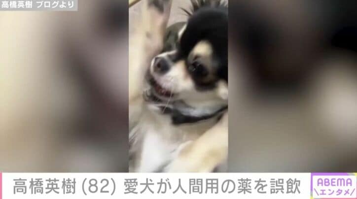 高橋英樹 ブログより