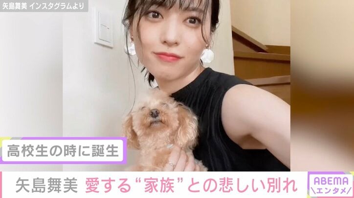 元℃-ute矢島舞美、愛犬との別れを報告「最期は生まれた時と同じように母の腕の中ですっと息をひき取りました」