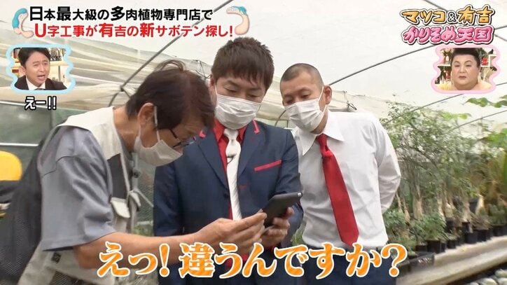 有吉弘行、大切に育てていたサボテンに衝撃の事実発覚「ショック！」