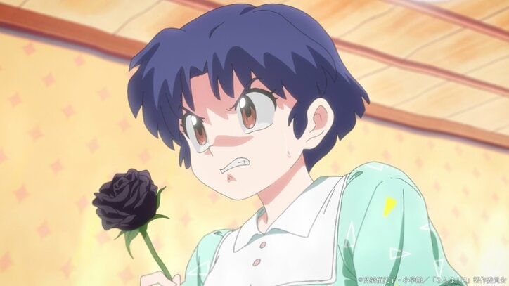 アニメ「らんま1/2」第6話天道あかね場面カット