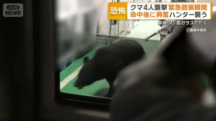 麻酔銃を使用